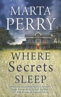 Where Secrets Sleep 0373779607 Book Cover
