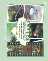 O'Loty te invită în pădurea magică Boreea: O'Loty invites you into the magical forest Boreea 2492086216 Book Cover