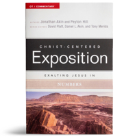Exalting Jesus In Numbers (Christ-Centered Exposition) (Mar 2022) B0F84FN648 Book Cover