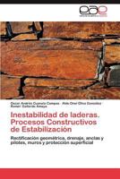 Inestabilidad de Laderas. Procesos Constructivos de Estabilizacion 3659032093 Book Cover