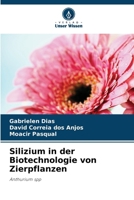 Silizium in der Biotechnologie von Zierpflanzen (German Edition) 6207496841 Book Cover