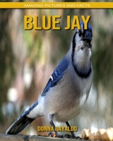 Blue Jay: Amazing Pictures and Facts B088BDKF8N Book Cover