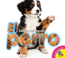 El perro (Conoce a mi mascota) 1791110142 Book Cover