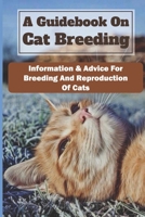 A Guidebook On Cat Breeding: Information & Advice For Breeding And Reproduction Of Cats: The Basics Of Cat Breeding B09BYDSZLS Book Cover