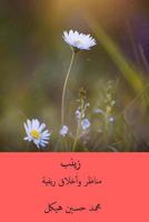 Zaynab: Manazir wa'akhlaq rifiyyah 171888785X Book Cover