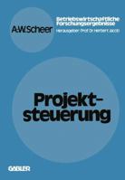 Projektsteuerung 3409305424 Book Cover