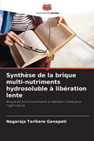 Synthèse de la brique multi-nutriments hydrosoluble à libération lente: Brique de micronutriments à libération lente pour l'agriculture (French Edition) 6208696763 Book Cover