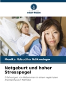 Notgeburt und hoher Stresspegel: Erfahrungen von Hebammen in einem regionalen Krankenhaus in Namibia 6205721414 Book Cover