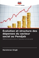 Évolution et structure des dépenses du secteur social au Pendjab 6630292030 Book Cover