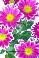 Address and Phone Book: (with discreet password journal section) Beautiful Floral Design Book, Organized in Alphabetical Order, Discreet internet page ... month by month birthday/anniversary section. 1699433518 Book Cover