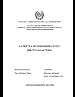 LA TUTELA GIURISDIZIONALE DEL DIRITTO DI ACCESSO (Italian Edition) B0DT7381G8 Book Cover