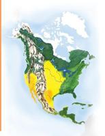 North America 1514107783 Book Cover