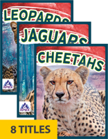 Wild Cats (Set of 8) 1637380275 Book Cover