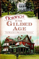 Norwich in the Gilded Age: The Rose City's Millionaires' Triangle 1626192472 Book Cover