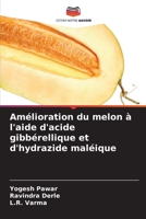 Amélioration du melon à l'aide d'acide gibbérellique et d'hydrazide maléique (French Edition) 6630012429 Book Cover