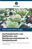 Vorhandensein von Bakterien aus Bewässerungswasser in Salatkulturen 620698821X Book Cover
