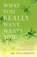 What You REALLY Want, Wants You: Uncovering Twelve Qualities You Already Have to Get What You Think Is Missing 0595454291 Book Cover