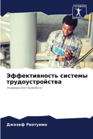Эффективность системы т& 6205827433 Book Cover