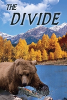 The Divide 1638670765 Book Cover
