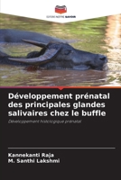 Développement prénatal des principales glandes salivaires chez le buffle (French Edition) 6202498943 Book Cover