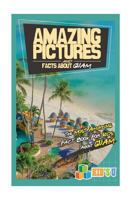 Amazing Pictures and Facts about Guam: The Most Amazing Fact Books for Kids about Guam 1542603536 Book Cover