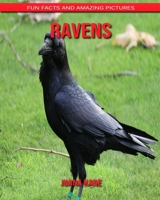 Ravens: Fun Facts and Amazing Pictures B088BFGFB9 Book Cover