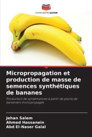 Micropropagation et production de masse de semences synthétiques de bananes: Production de synsemences à partir de plants de bananiers micropropagés (French Edition) 6208690013 Book Cover