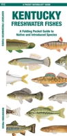 Kentucky Freshwater Fishes: A Folding Pocket Guide to Native and Introduced Species 1620058235 Book Cover