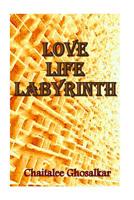 Love Life Labyrinth 1502955369 Book Cover