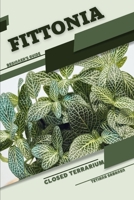 Fittonia: Closed terrarium, Beginner's Guide B0CGLCCRWZ Book Cover