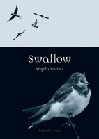 Swallow 1780234910 Book Cover