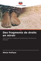 Des fragments de droits en miroir (French Edition) 6202453540 Book Cover