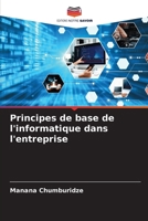 Principes de base de l'informatique dans l'entreprise (French Edition) 6208838282 Book Cover