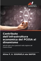 Contributo dell'infrastruttura economica del PCESA al dinamismo (Italian Edition) 6208522587 Book Cover