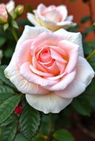 The Beginner's Guide to Roses: Planting, Pruning, and Propagation B0DT45HY1Y Book Cover