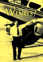 Only Angels Have Wings. J.H. Evans 1465359664 Book Cover