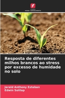 Resposta de diferentes milhos brancos ao stress por excesso de humidade no solo (Portuguese Edition) 6208410665 Book Cover