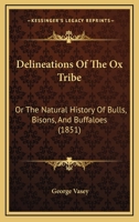 Delineations of The Ox Tribe; Or, The Natural History Of Bulls, Bisons, And Buffaloes. (Illustrated Edition) 9354758622 Book Cover