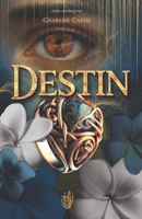 Destin (MYTHE MOI) (French Edition) B0GXFR7JMY Book Cover
