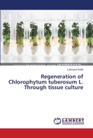 Regeneration of Chlorophytum tuberosum L. Through tissue culture 3659643750 Book Cover