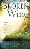 Broken-Wing: An Expose' on the Journey Through Affliction 149082748X Book Cover