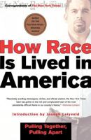 How Race Is Lived in America: Pulling Together, Pulling Apart 0805070842 Book Cover