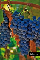 Notes: Ripe grapes in the south. Format A5, 120 pages, fine grey lined. Enter your recipes, recipe ideas, meat and fish grilling recipes or healthy vegan and vegetarian dishes in this beautiful recipe 171183548X Book Cover