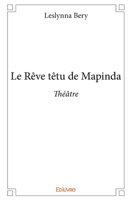 Le Rêve têtu de Mapinda (French Edition) 2414147865 Book Cover