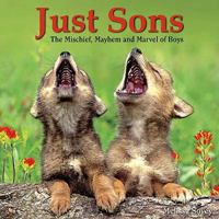 Just Sons: The Mischief, Mayhem and Marvel of Boys 1607554526 Book Cover