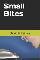 Small Bites: A Collection of Short Fiction and Poetry B0BJ88HKJX Book Cover