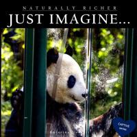 JUST IMAGINE (CAPTIVE) 8097314940 Book Cover