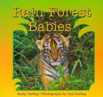 Rain Forest Babies 0590974408 Book Cover