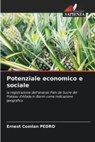 Potenziale economico e sociale (Italian Edition) 6208296544 Book Cover