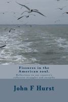 Fissures in the American Soul: Reflections on Our Country's Collective Struggles and Strengths 1466485019 Book Cover